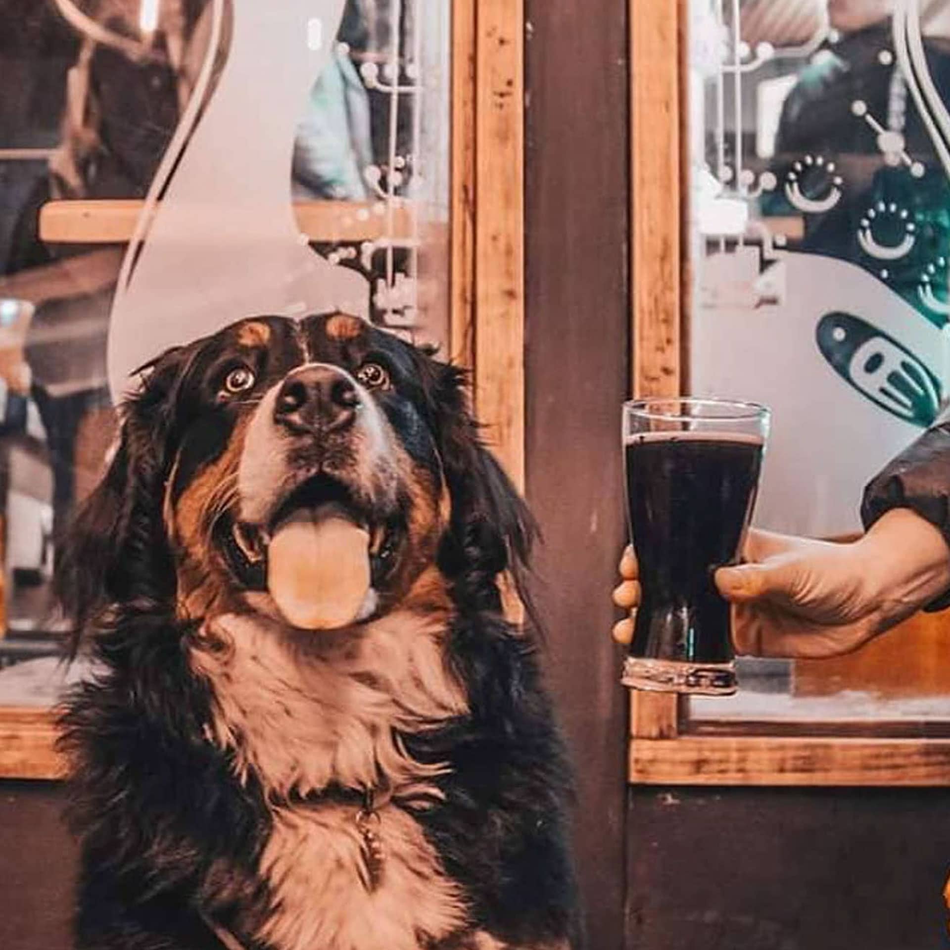 Tu Beergarden Pet Friendly