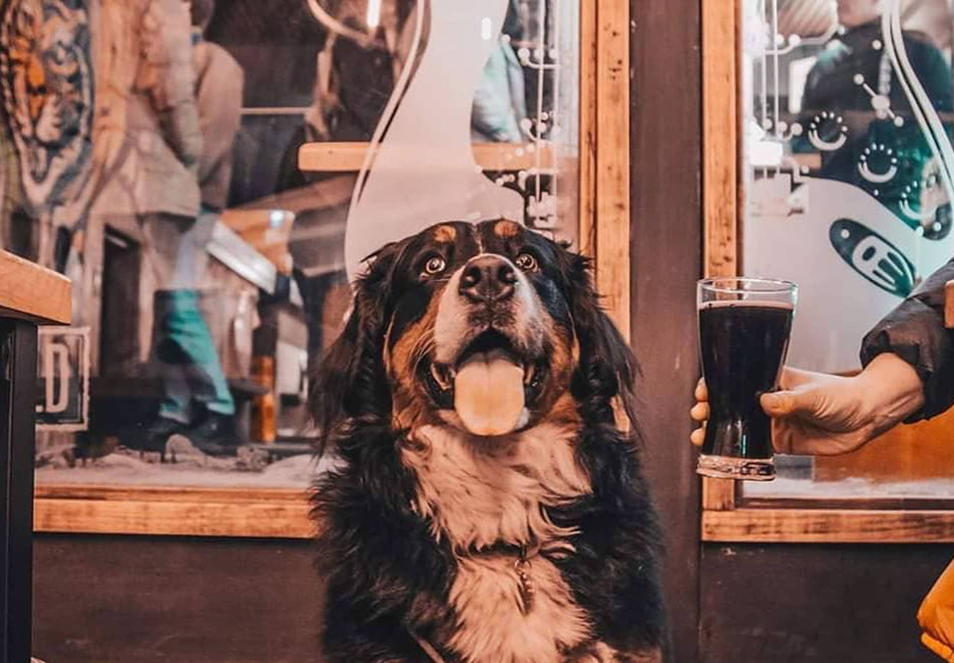 Pet Friendly