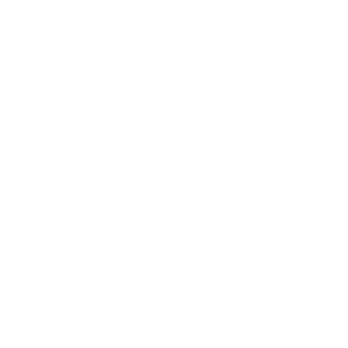 Barbudo Beer Garden Plaza Ñuñoa